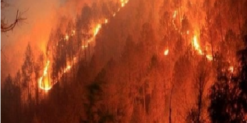 Uttarakhand News Fire